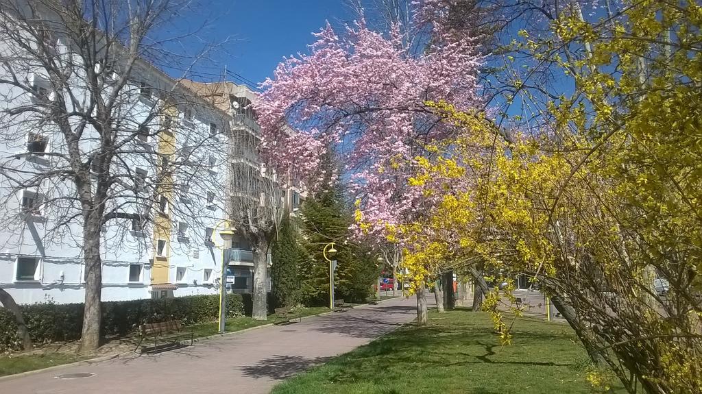 Apartamento Isabel Cuenca  Buitenkant foto
